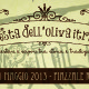 banner festa oliva